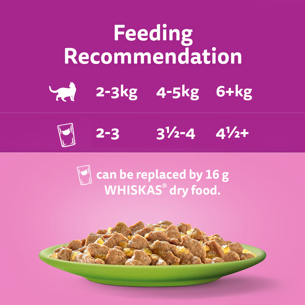 How to mix dry and wet cat food shop